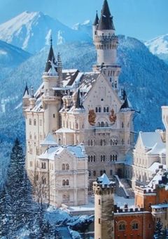 令嬢と瓜二つの入れ替わり