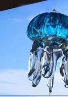 はにちファンクラブ〜