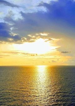 クロネコ'sルーム