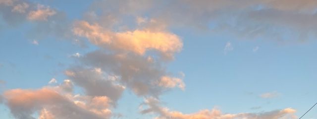 🍎りんご味噌🍎さんの壁紙画像