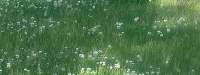 るるさんの壁紙画像