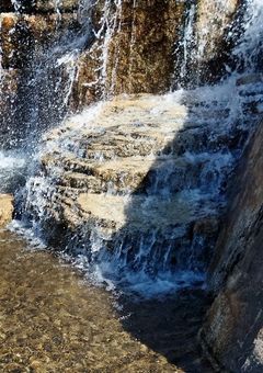 参 加 型 の 設 定 資 料 室 .