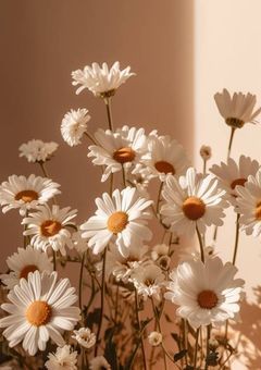 # あと2年、弐年参組にて君たちと 。