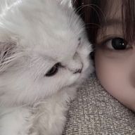 𝘵𝘰𝘢 さんのアイコン画像