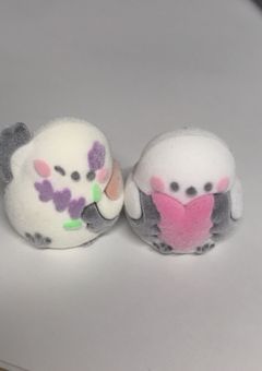 活動報告（雑談？）