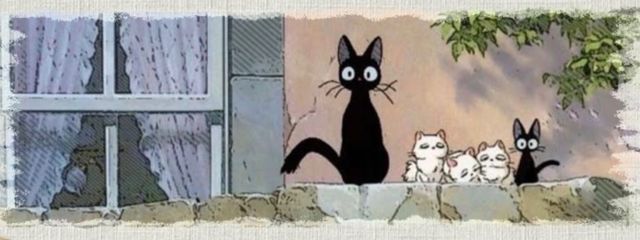 ニャンちゅうさんの壁紙画像