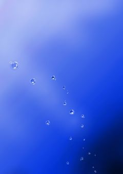 〘配信部屋〙深海を漂う光に依って〘活動終了済〙