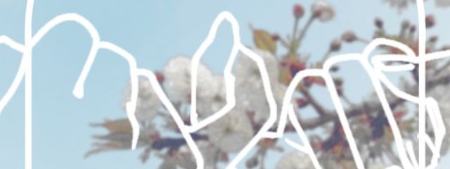 🎐。○　サブちゃんさんの壁紙画像