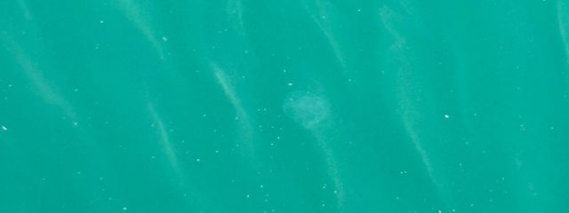 転生済み　ぴちゃん　＠また会う日まで‎𖤐 ̖́さんの壁紙画像