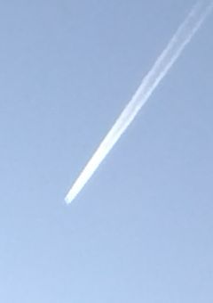 引きこもりニートが仕事！？