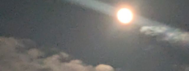 あろえよーぐるとさんの壁紙画像