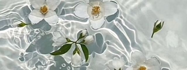 灰緑さんの壁紙画像