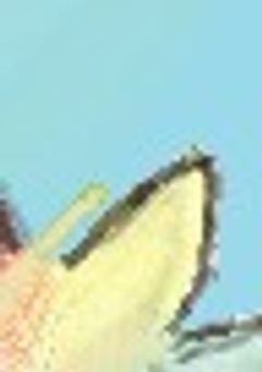 しゅわの曲作成部屋