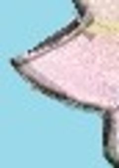 ぽてまるいずうんこ