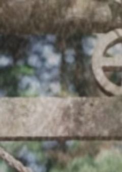 転生?んなわけ……!?