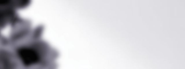 ใใ๐ฅ๐๐๐ธโใใใฎๅฃ็ด็ปๅ