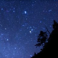 ネコ太郎.さんのアイコン画像