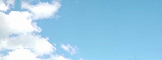 はっちー .第2世代さんの壁紙画像