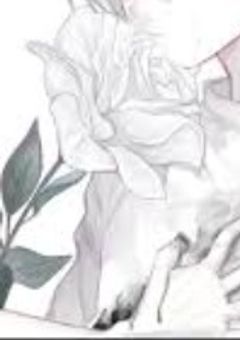 此方向いてよ。お兄ちゃん