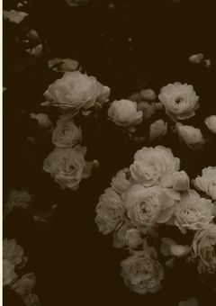 【　溺 愛 反 応 集　】