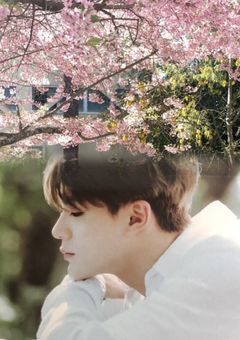 屋根下の桜