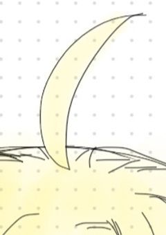 管理会社さん、壁の増設お願いします(？)