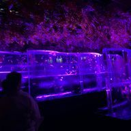 Amiaさんのアイコン画像