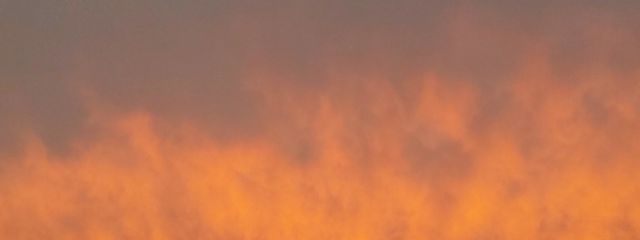 猫宮時雨@あけましておめでとうさんの壁紙画像