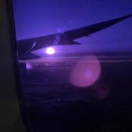 しらきりさんのアイコン画像