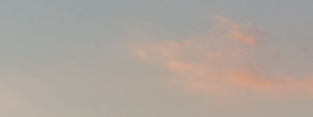 星月さんの壁紙画像