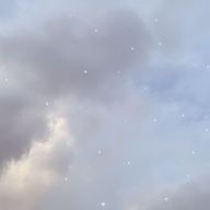 お粥さんのアイコン画像