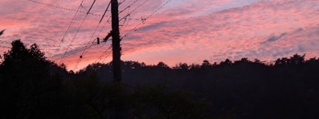 十六夜楓華さんの壁紙画像