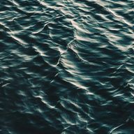 fmnさんのアイコン画像