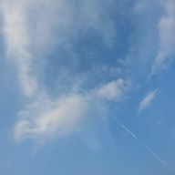 ソラさんのアイコン画像