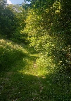 腐なじぇお、覗いていきますか？