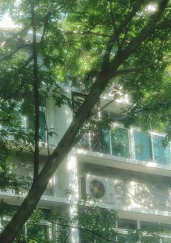 『裏生徒会、今日も事件です！』