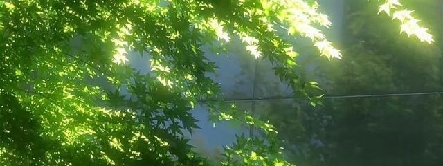 魅輝♪みき 　少しおやすみ🌙さんの壁紙画像