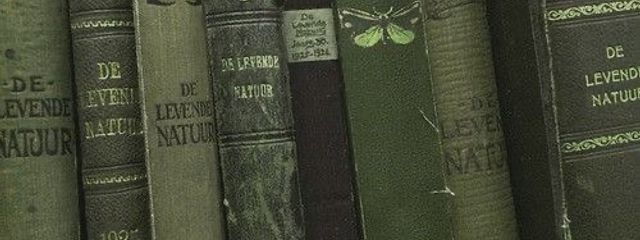 魅輝♪みき 　少しおやすみ🌙さんの壁紙画像