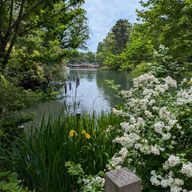 ズヨさんのアイコン画像