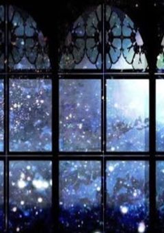 やんちゃなお嬢様は、、