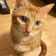 大和魂さんのアイコン画像