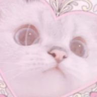紅稀さんのアイコン画像