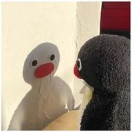 Haruマキさんのアイコン画像