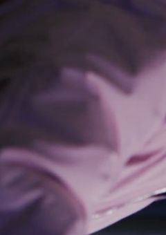 # し ぇ る た ー の 病 弱 姫 .