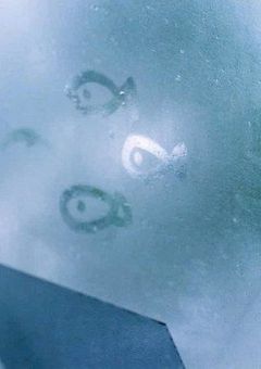 泡を潰して魚に至れば