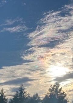 無自覚人たらしと死にたがり転校生