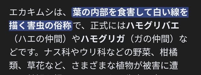 乾杯さんの壁紙画像
