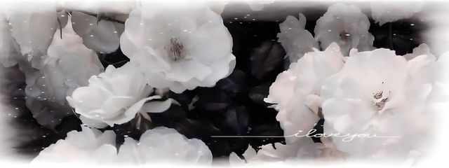 恋永/𝑅𝑒𝑛𝑎さんの壁紙画像
