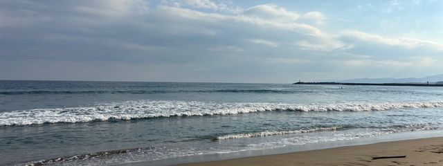 りんかさんの壁紙画像