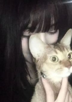 出戻り